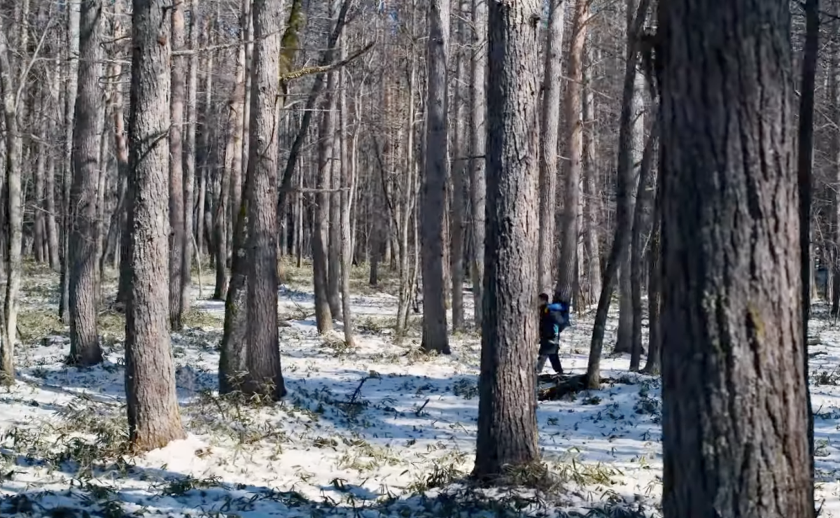 Кадр из фильма Зло не існує Кадр из фильма Зло не існує