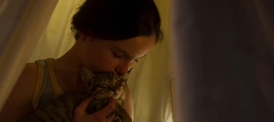 Кадр из фильма Мій котик і я Кадр из фильма Мій котик і я