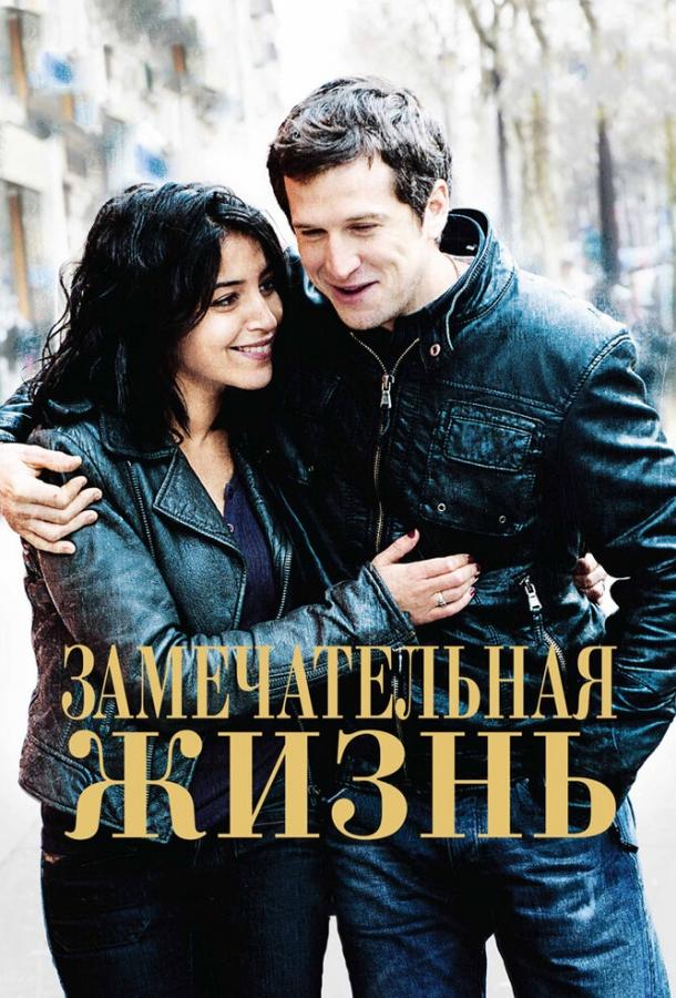 Замечательная жизнь (2012)