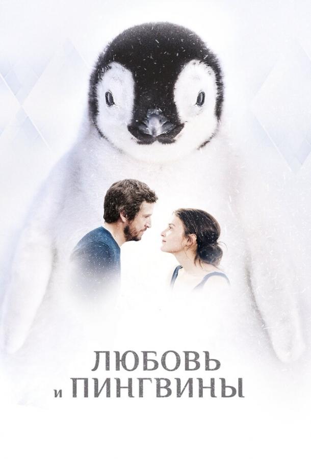 Кохання та пінгвіни