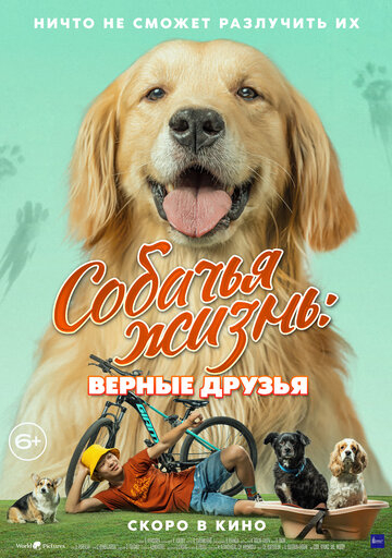 Собаче життя. Вірні друзі