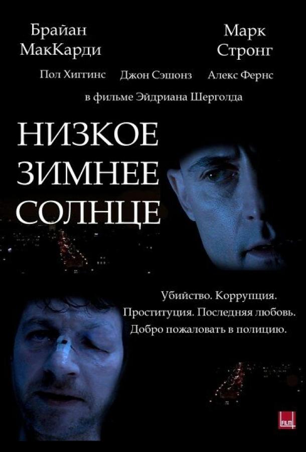 Низьке зимове сонце