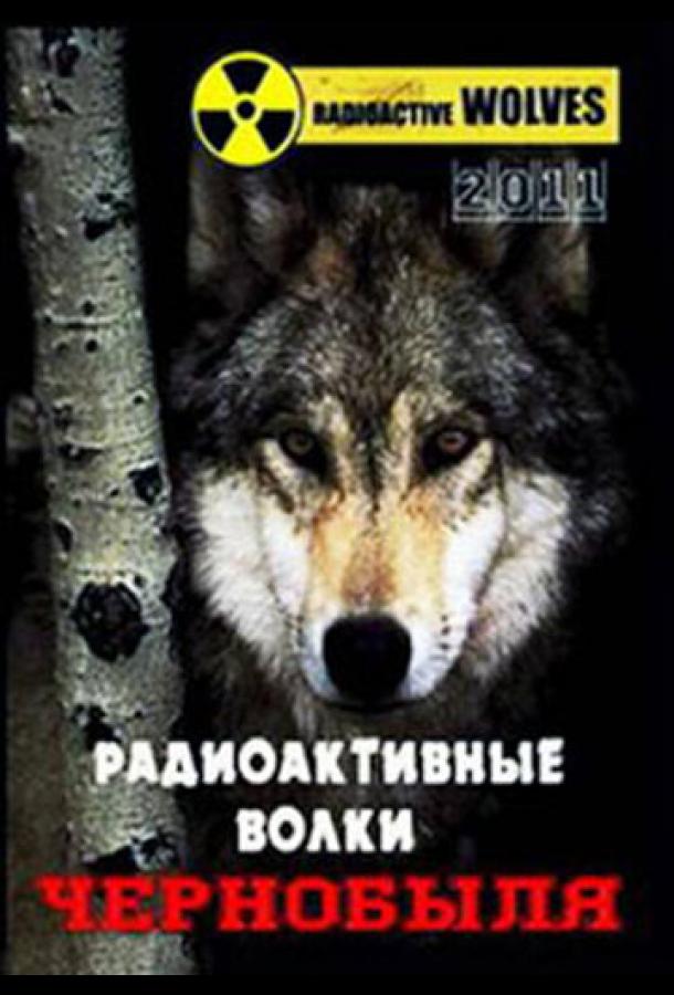 Радіоактивні вовки Чорнобиля