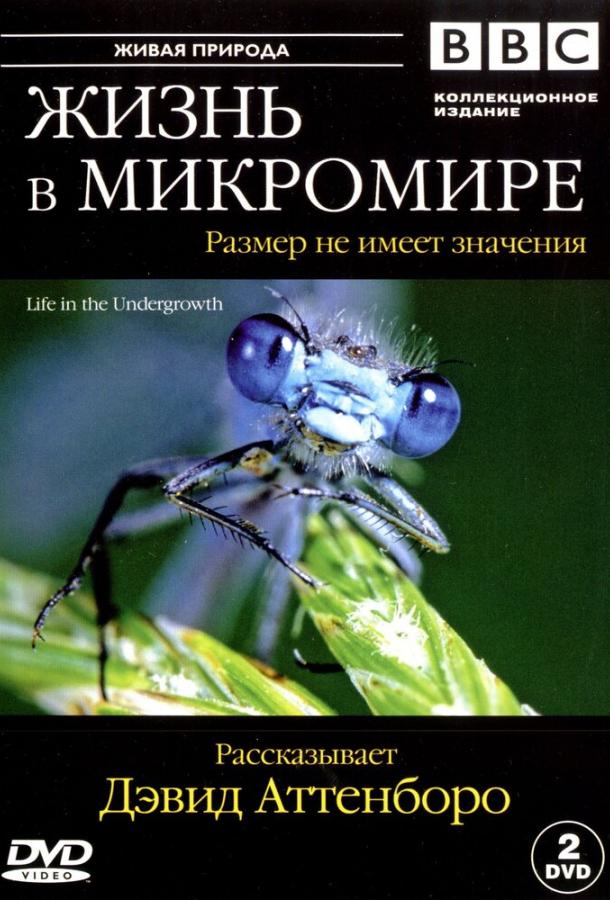 BBC: Життя у мікросвіті